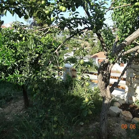 דירה Zaki's House Alónnisos